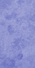 G8735-18-P1.5L  Iris