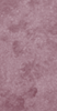 G8735-30-P1.5L Liliac